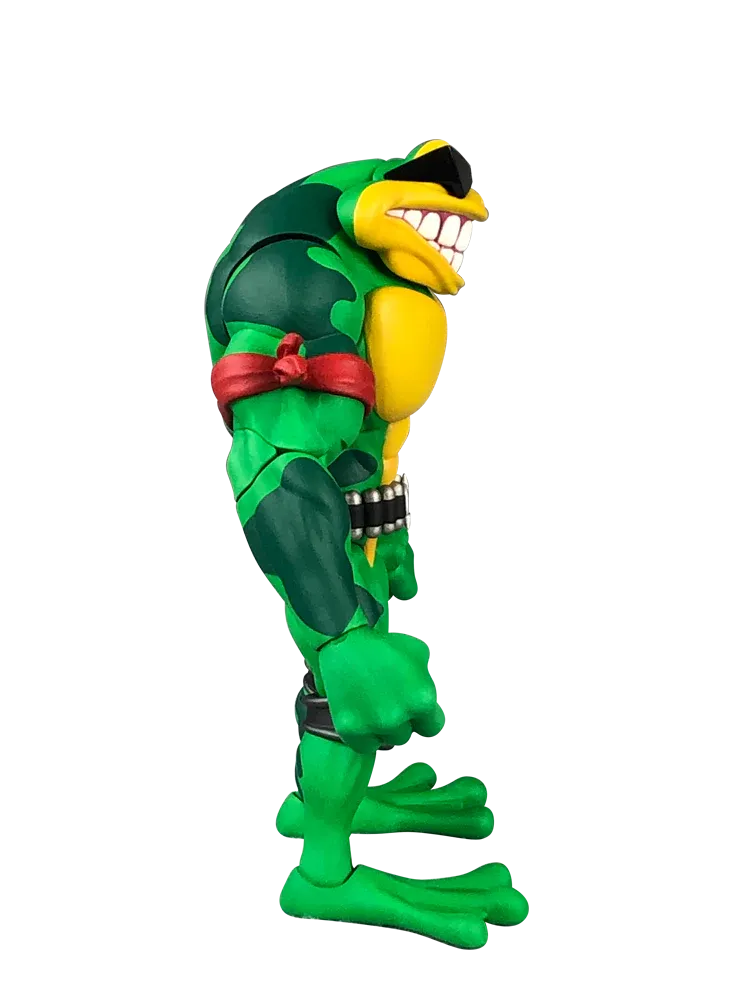 Battletoads Wave 1 Rash 6" Inch Action Figure - Premium DNA Toys