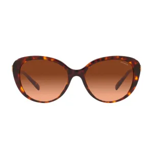 Coach Geometric Square Non-Polarized Sunglasses - Dark Tortoise/Brown Gradient