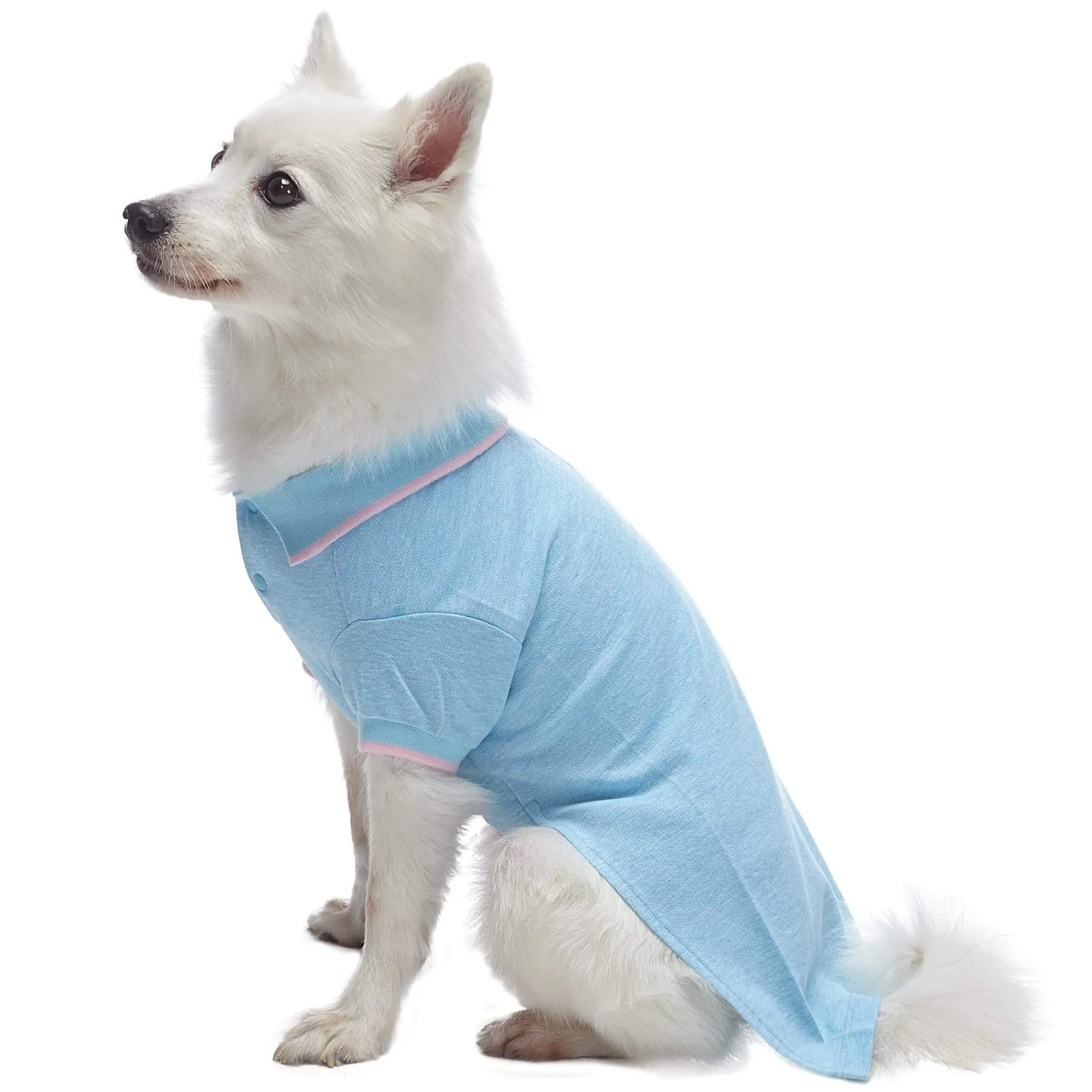 Cotton Blended Back to School Dog Polos, 2 Pack