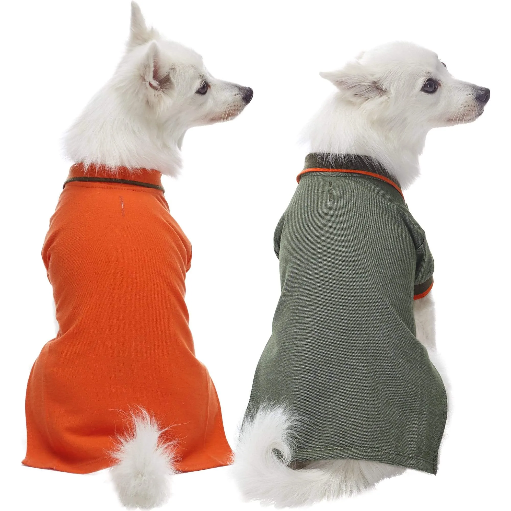 Cotton Blended Back to School Dog Polos, 2 Pack