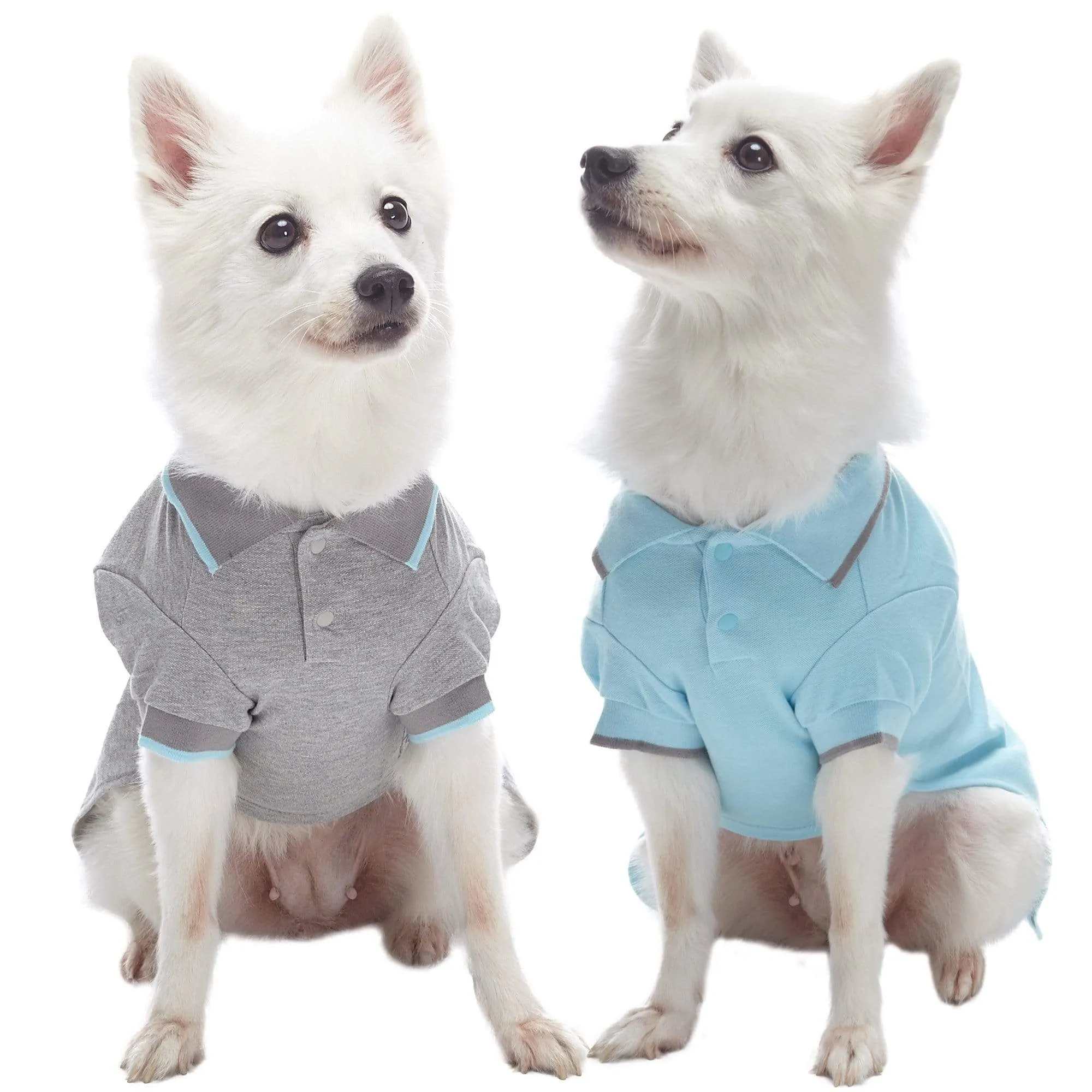 Cotton Blended Back to School Dog Polos, 2 Pack