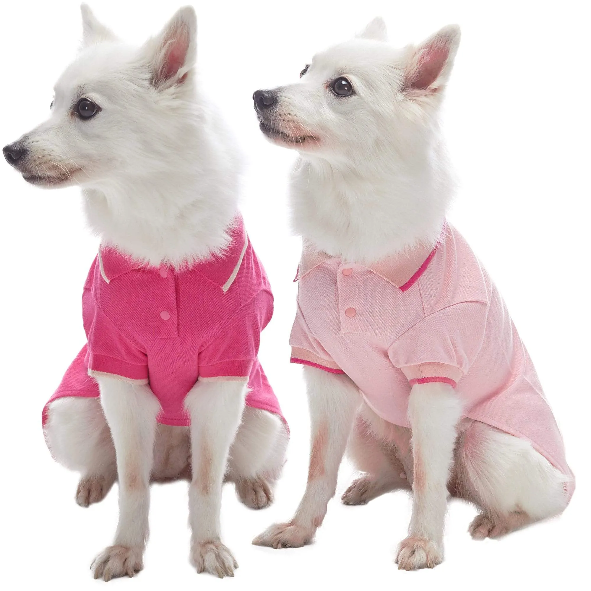 Cotton Blended Back to School Dog Polos, 2 Pack