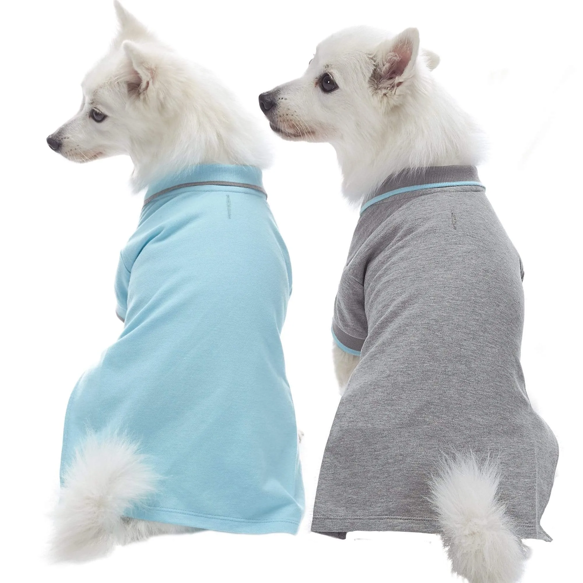 Cotton Blended Back to School Dog Polos, 2 Pack