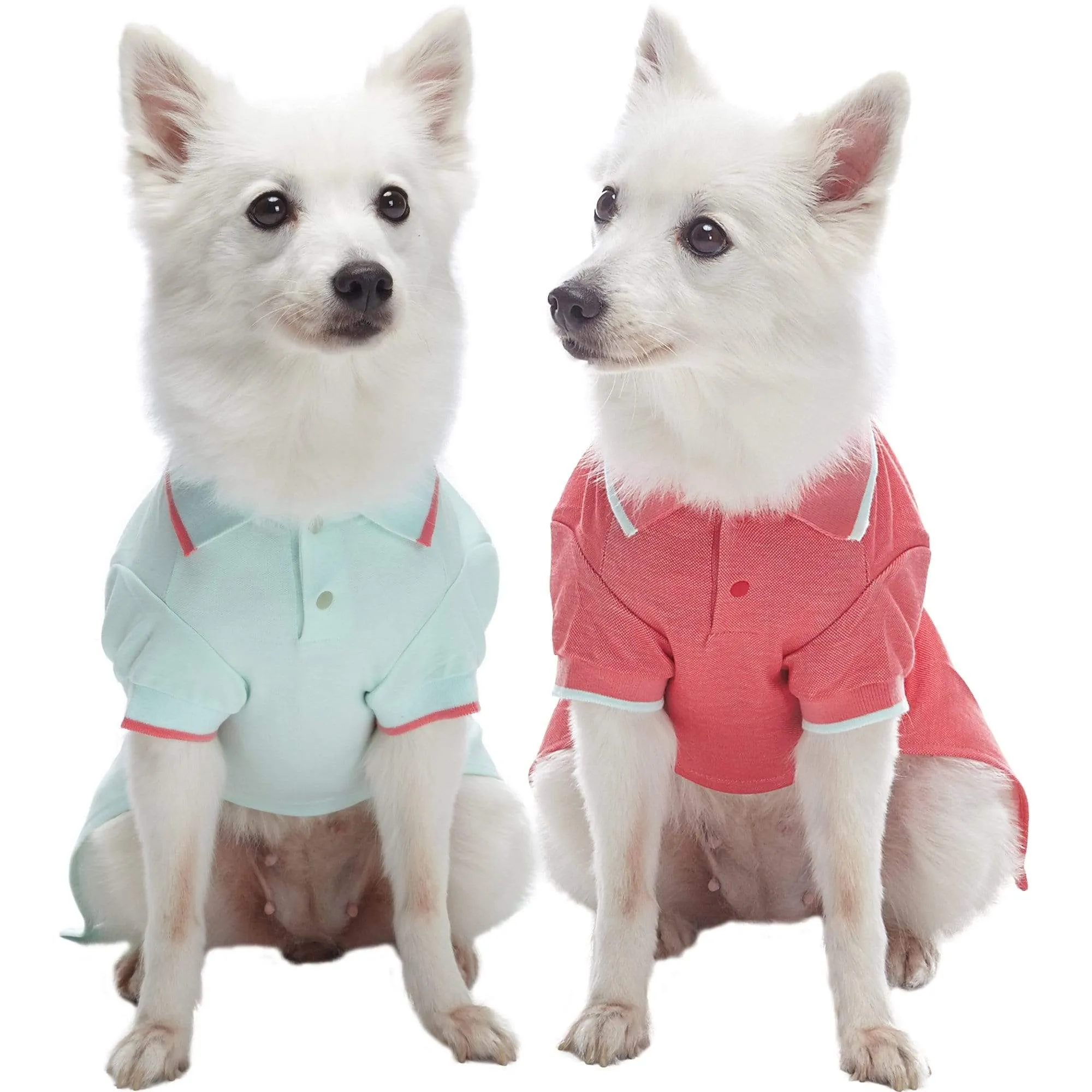 Cotton Blended Back to School Dog Polos, 2 Pack