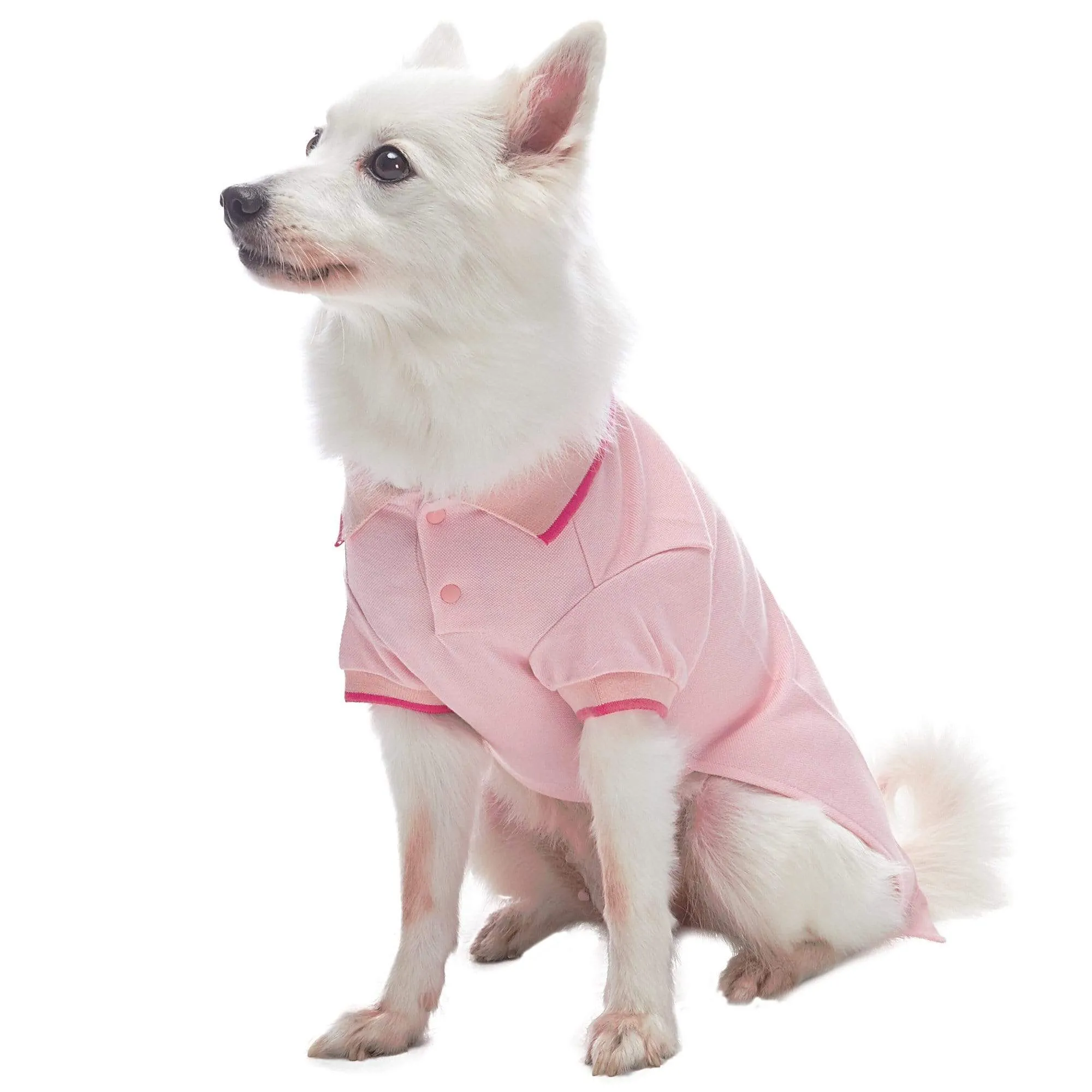 Cotton Blended Back to School Dog Polos, 2 Pack