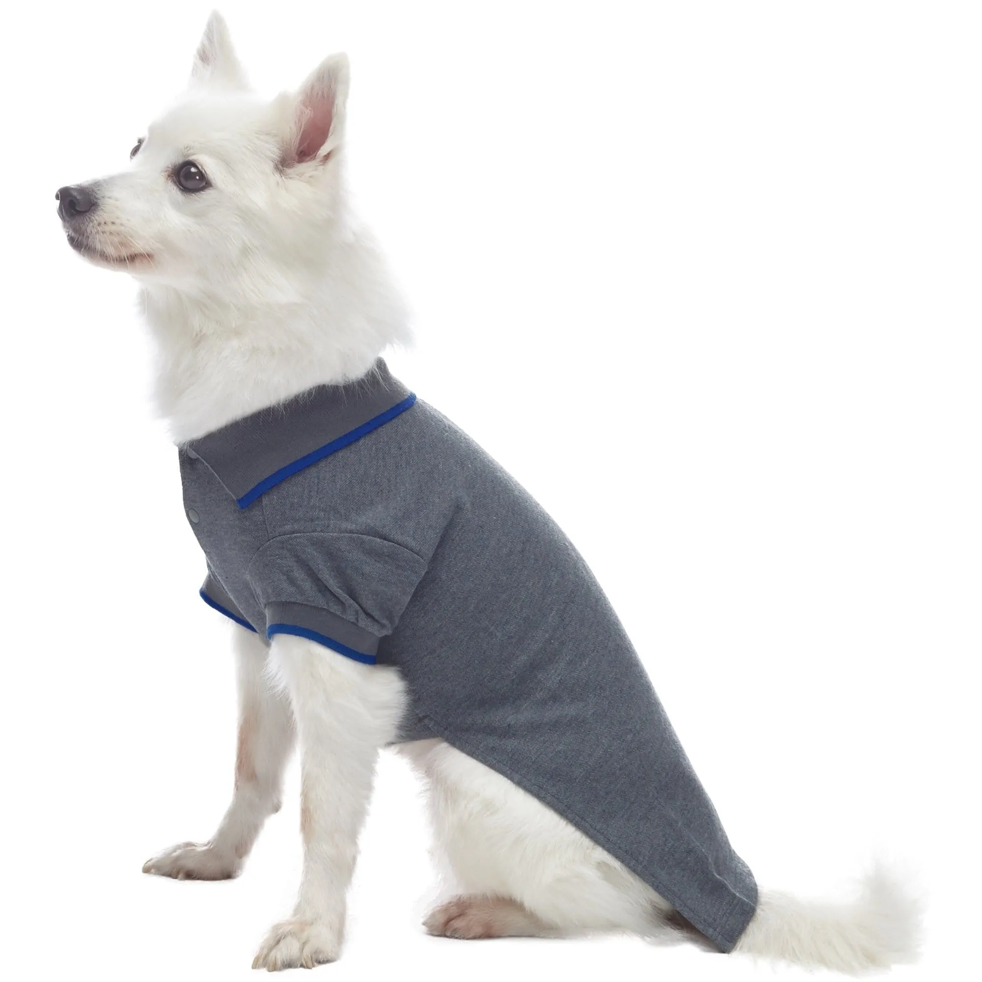 Cotton Blended Back to School Dog Polos, 2 Pack